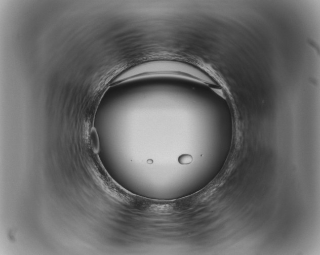 X0000099510057200806051157