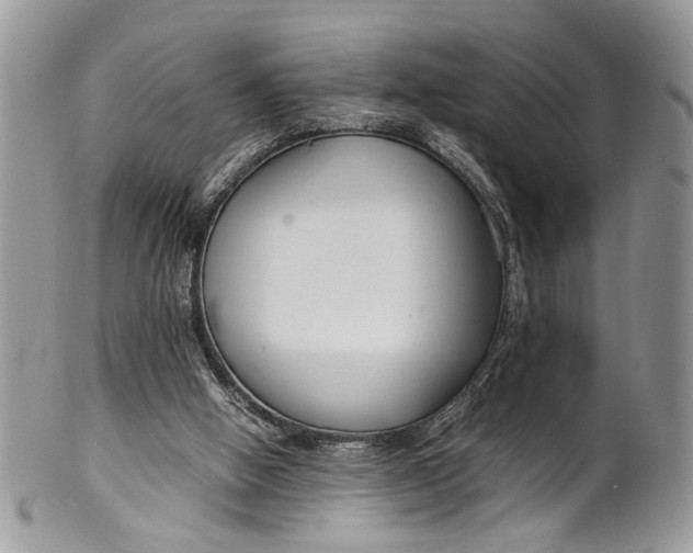 X0000099510058200806051157