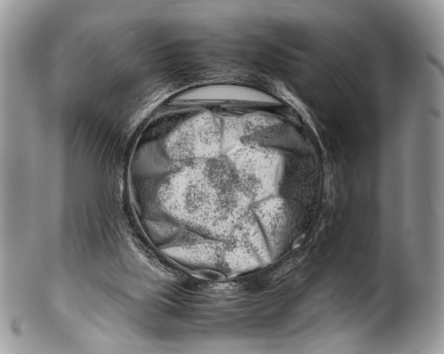 X0000099510059200806051157