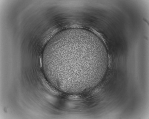 X0000099510061200806051157