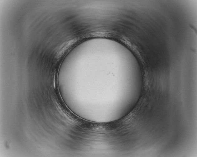 X0000099510062200806051157