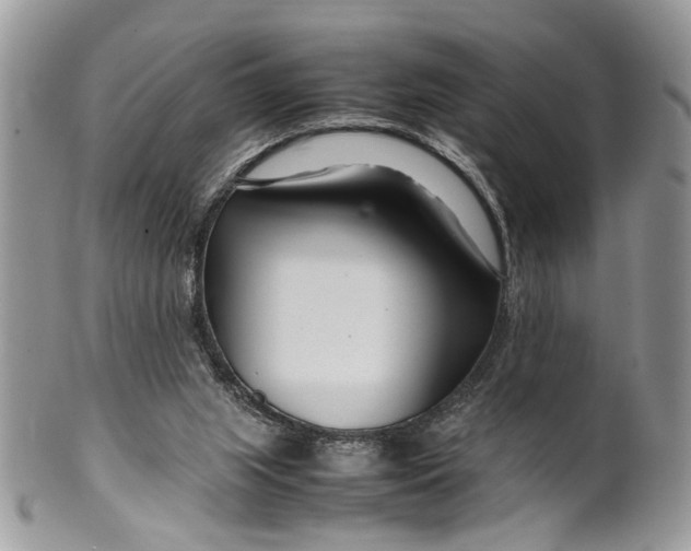 X0000099510063200806051157