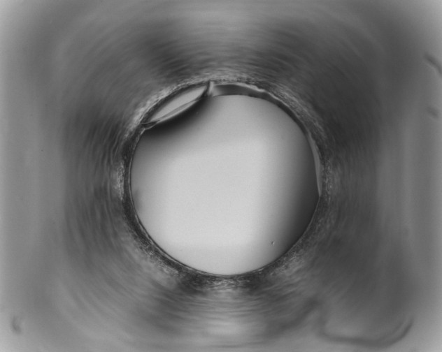 X0000099510064200806051157