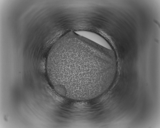 X0000099510065200806051157