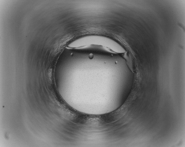 X0000099510066200806051157