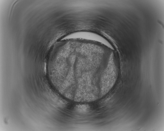 X0000099510067200806051157