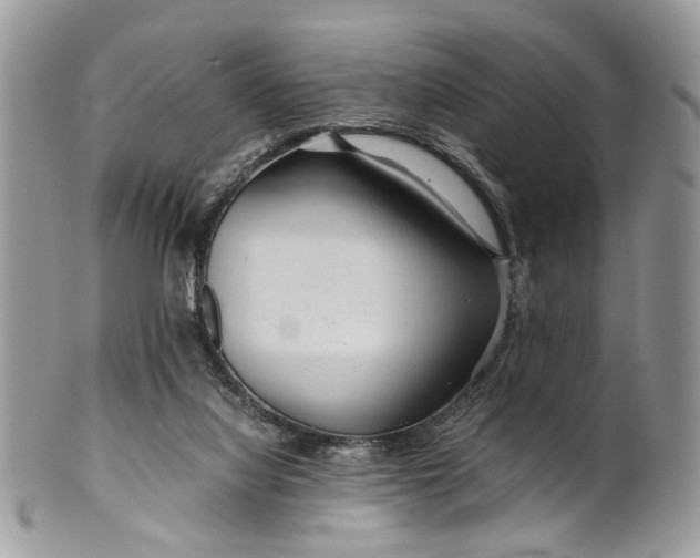 X0000099510068200806051157