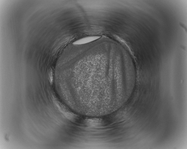 X0000099510069200806051157