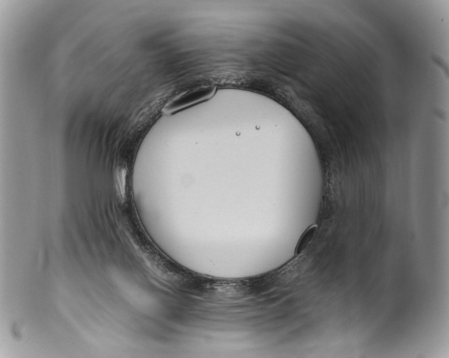 X0000099510070200806051157