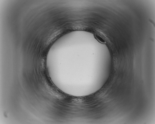 X0000099510071200806051157