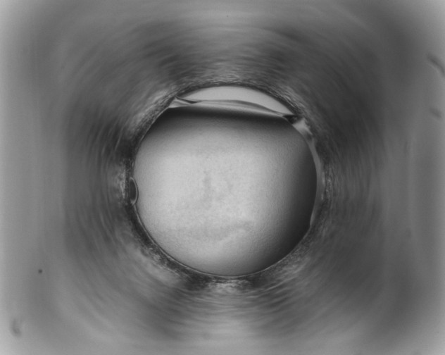 X0000099510072200806051157