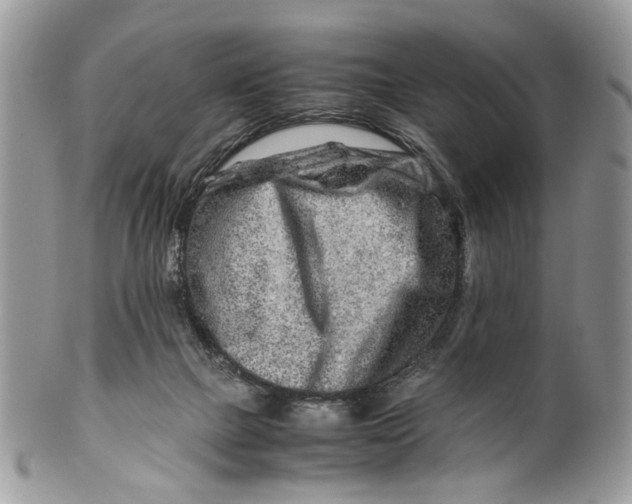 X0000099510073200806051157