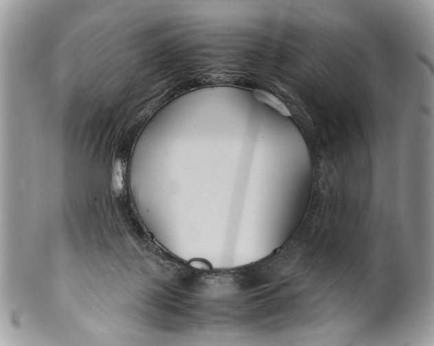 X0000099510075200806051157