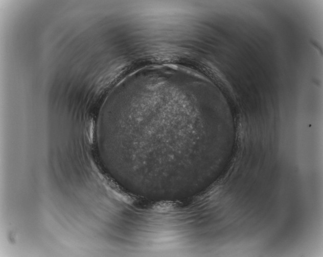 X0000099510076200806051157