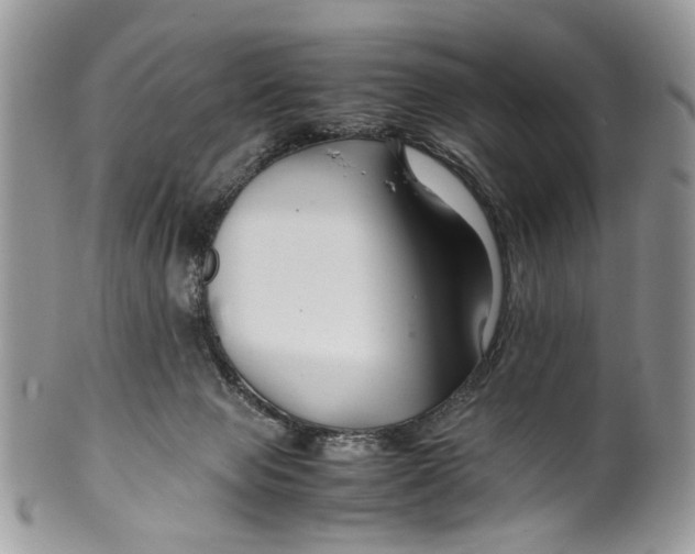 X0000099510077200806051157