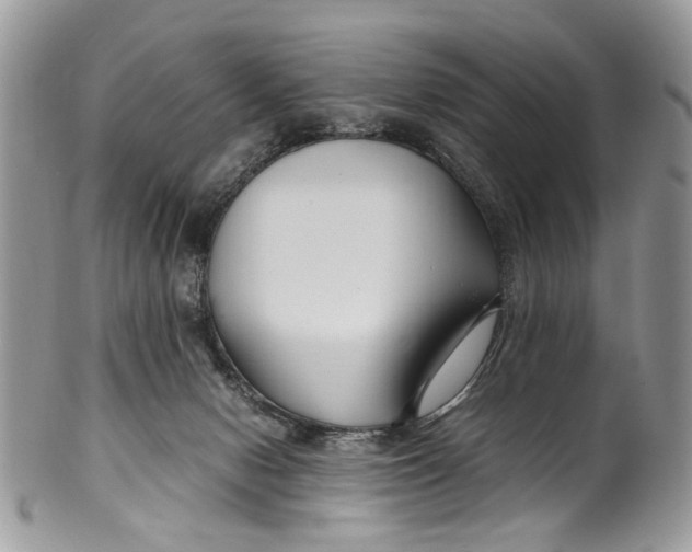 X0000099510078200806051157