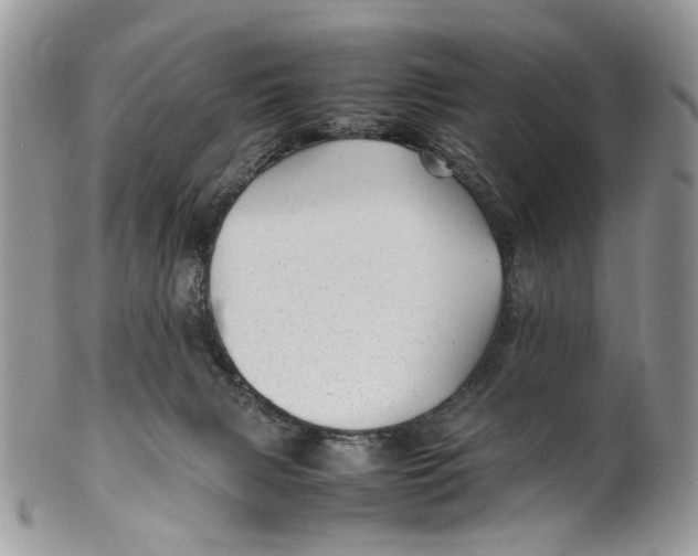 X0000099510079200806051157