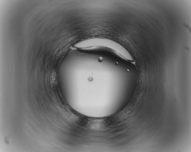 X0000099510081200806051157