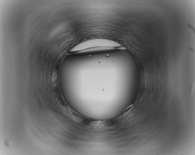 X0000099510082200806051157