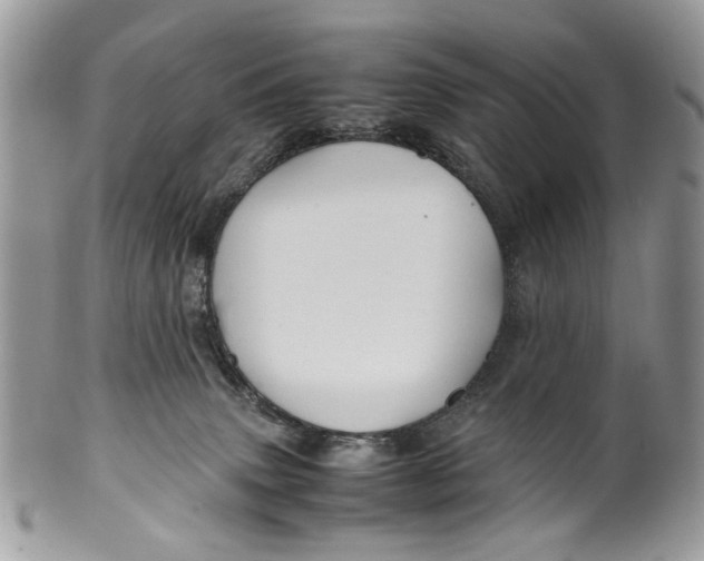 X0000099510083200806051157