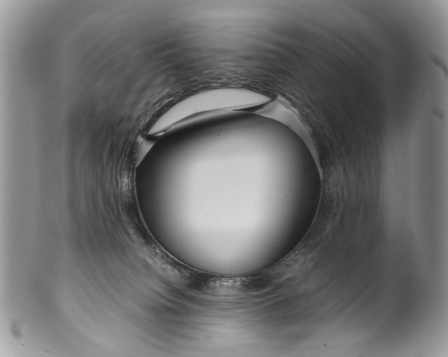 X0000099510084200806051157