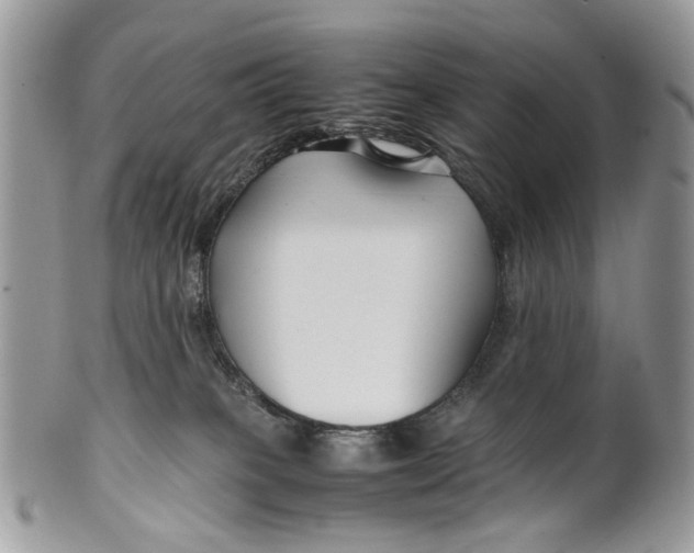 X0000099510085200806051157