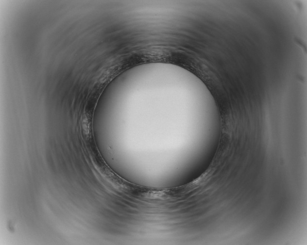 X0000099510086200806051157