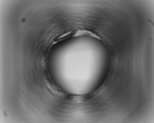 X0000099510088200806051157