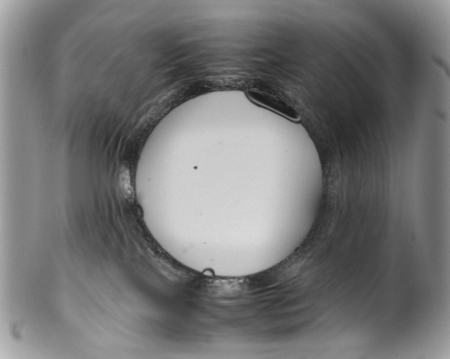 X0000099510089200806051157