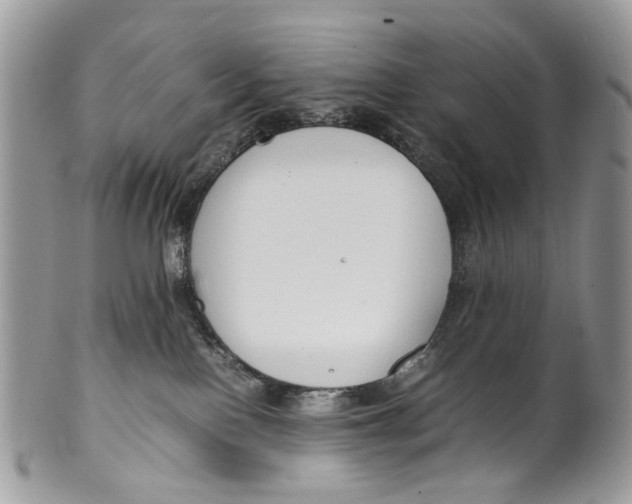 X0000099510090200806051157