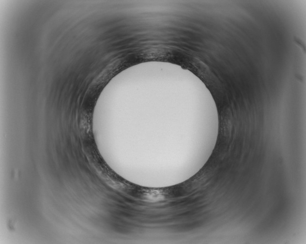 X0000099510091200806051157