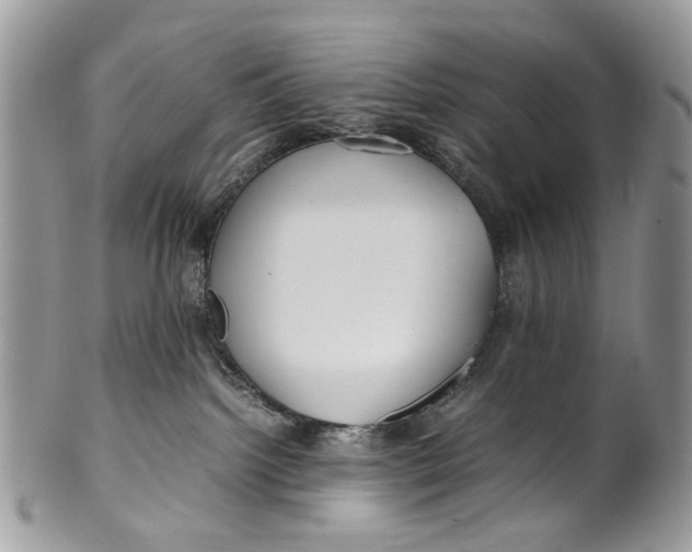 X0000099510092200806051157