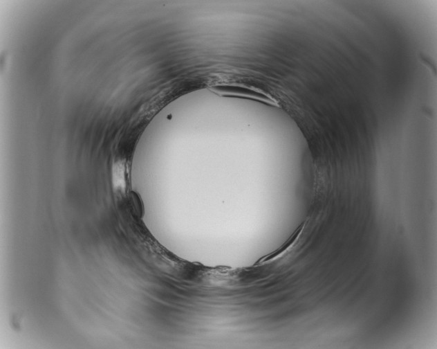 X0000099510094200806051157