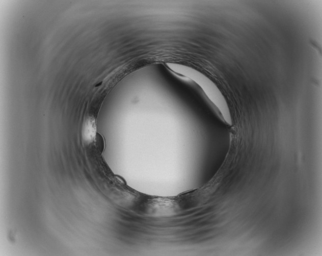 X0000099510095200806051157