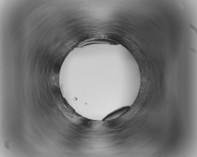 X0000099510096200806051157