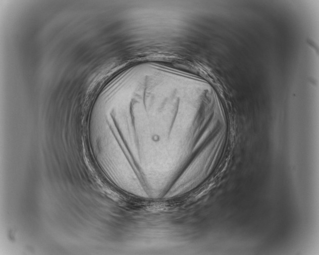 X0000099510097200806051156