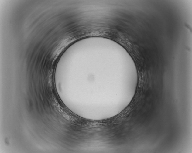 X0000099510098200806051156