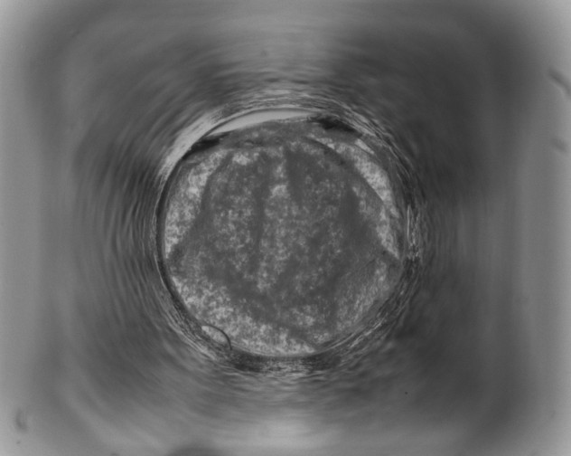 X0000099510099200806051156