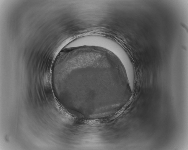 X0000099510100200806051156