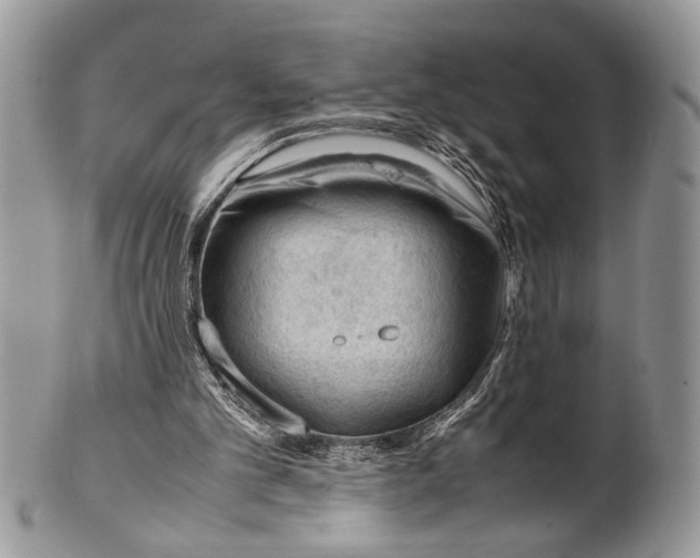 X0000099510101200806051156