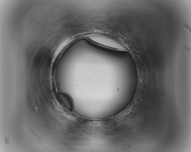 X0000099510102200806051156