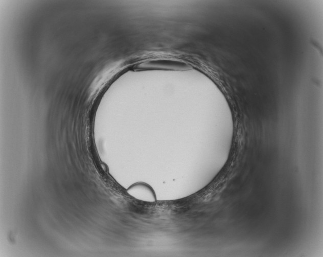 X0000099510103200806051156