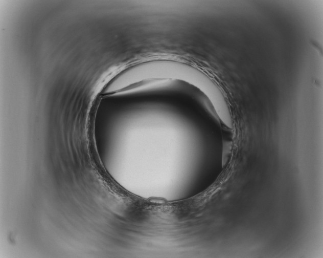 X0000099510104200806051156