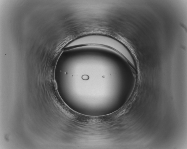 X0000099510105200806051156