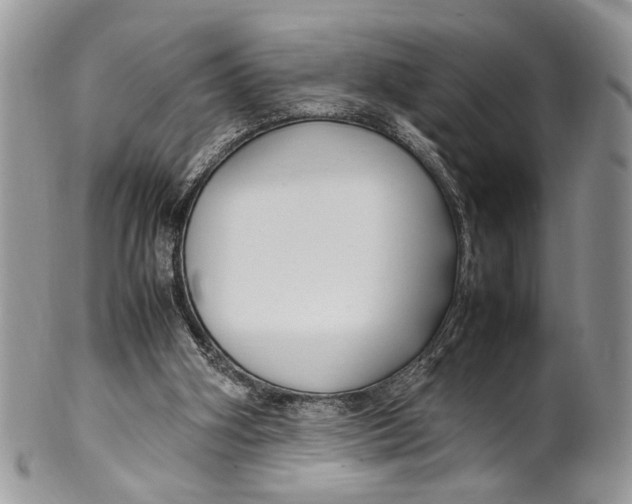 X0000099510106200806051156