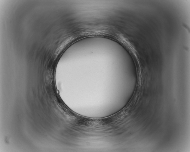 X0000099510107200806051156