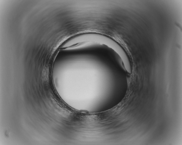 X0000099510108200806051156