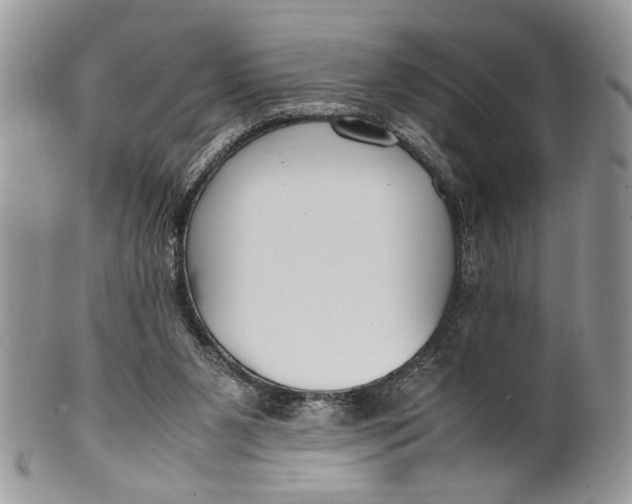 X0000099510111200806051156