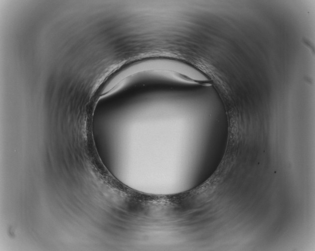 X0000099510112200806051156