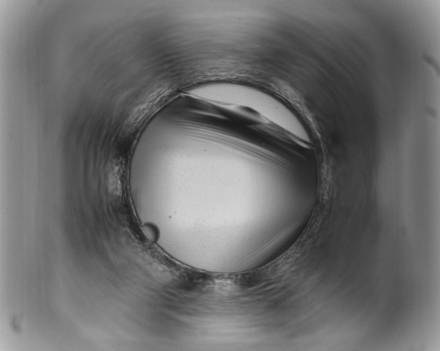 X0000099510114200806051156